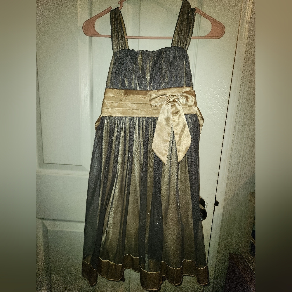 Gold And Black Mesh Dress. Size 10